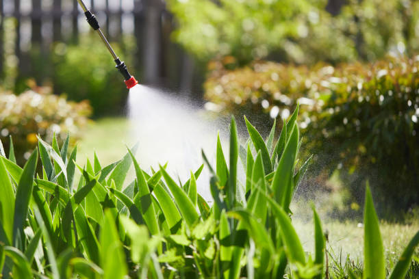24/7 Emergency Mosquito Control experts in Madison Park, NJ